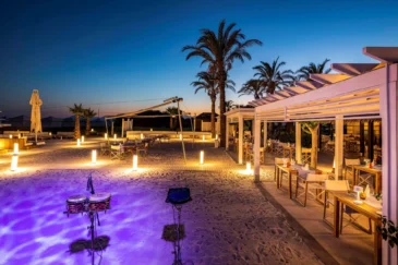 Palm Lounge & Bar