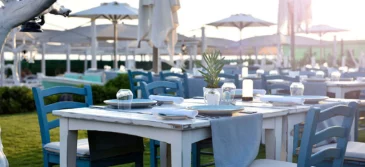 Palm Beach Snack