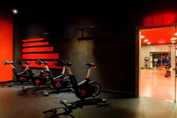 Sport