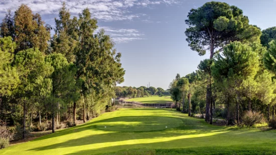 Cornelia Faldo Golf Course HOLE 27 Tee