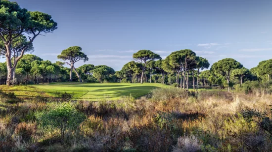 Cornelia Faldo Golf Course HOLE 7 Faldo's Choice