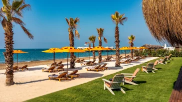 Beach - Kaya Palazzo Golf Resort