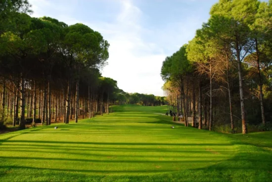 Sueno Golf Club