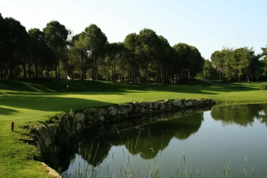 Pasha golfbana
