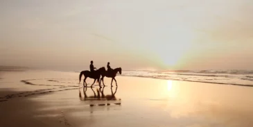 Horse riding on the beach