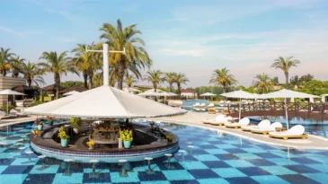 Swim-Up Bar