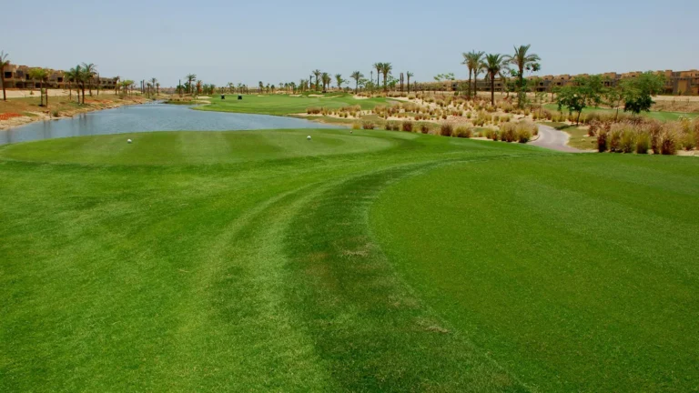 Sokhna Golf Club
